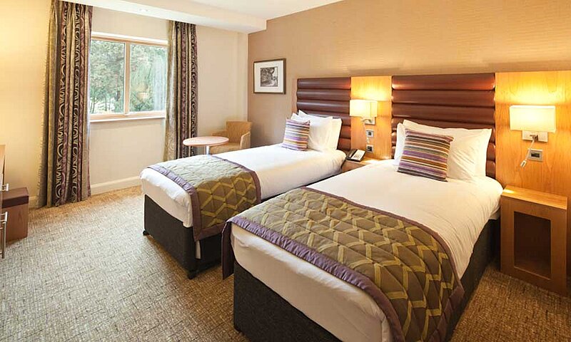 Executive Rooms